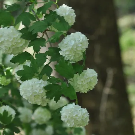 La Gioiella Holiday home *