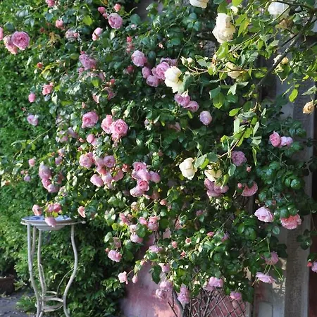 La Gioiella Holiday home