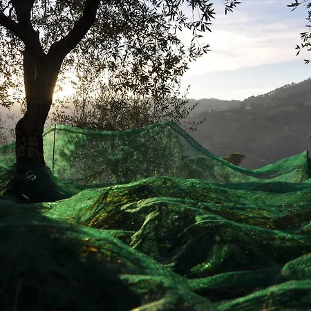 Holiday home La Gioiella *