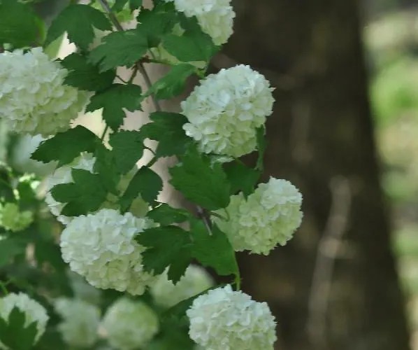La Gioiella Semesterbostad *