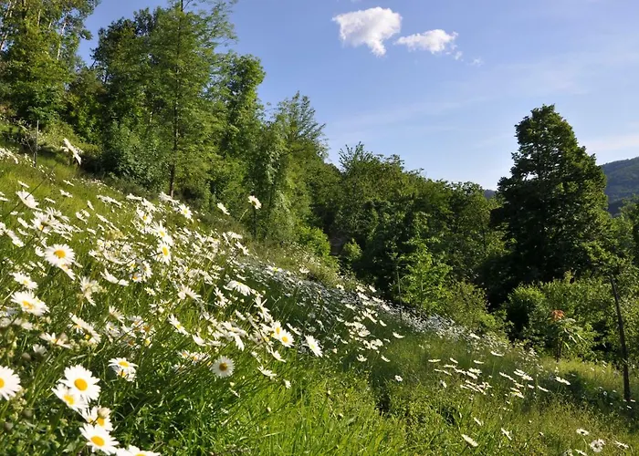 La Gioiella Semesterbostad