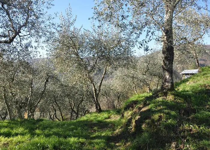 La Gioiella Semesterbostad Aramo