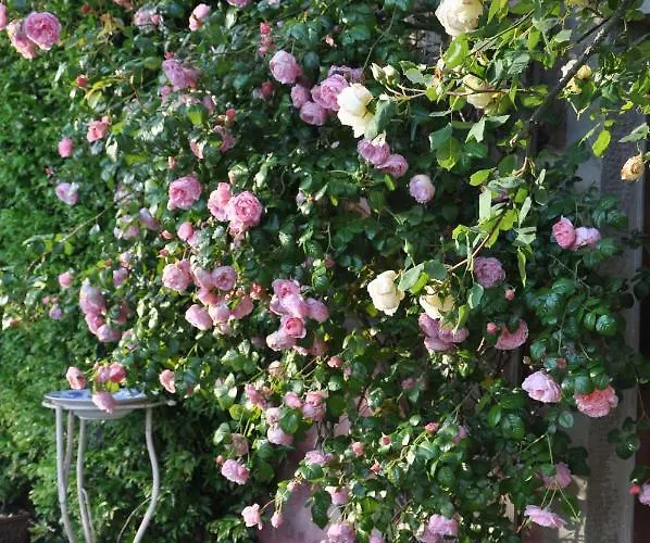 La Gioiella Semesterbostad