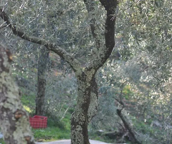 Semesterbostad La Gioiella